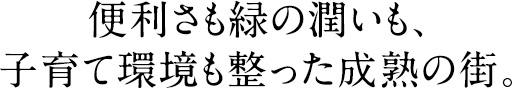 便利さも緑の潤いも、子育て環境も整った成熟の街。