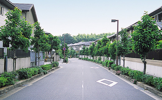 準幹線道路