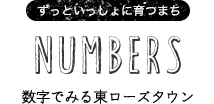 数字で見る東ローズタウン