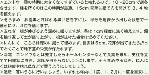 ＞エンドウ　霜の時期に大きくなりすぎていると枯れるので、10〜20cmで越冬させます。種を蒔くのはこの時期が最適。15cm間隔に指で穴を開けて3、4粒を植えます。＞そらまめ　お歯黒と呼ばれる黒い筋を下にし、半分を地表から出した状態で一箇所に２、３粒を植えます。＞玉ねぎ　根が伸びるよう深めに掘りますが、茎は1cm程度に浅く植えます。霜を繰り返して土が盛り上がり、根が抜けた場合は埋めてください。＞にんにく　こちらは深めに掘って埋めます。目安は５cm。花芽が出てきたら折っておくことで地下茎の栄養が保たれます。＞除霜　エンドウなどは発芽したらホームセンターなどで長原を求め、支柱を立てて円錐状に巻き、北風が当たらないようにします。そらまめや玉ねぎ、にんにくは籾殻や枯れ草などで覆うようにしましょう。＞追肥　寒いうちに行いましょう。いずれも年内に１度、１、２月に一度を目安に。