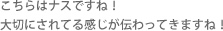 こちらはナスですね！大切にされてる感じが伝わってきますね！