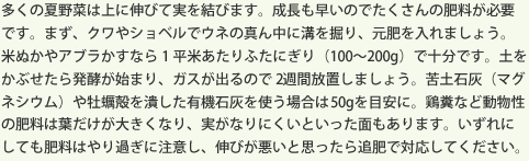 多くの夏野菜は上に伸びて実を結びます。成長も早いのでたくさんの肥料が必要です。まず、クワやショベルでウネの真ん中に溝を掘り、元肥を入れましょう。米ぬかやアブラかすなら1平米あたりふたにぎり（100〜200g）で十分です。土をかぶせたら発酵が始まり、ガスが出るので2週間放置しましょう。苦土石灰（マグネシウム）や牡蠣殻を潰した有機石灰を使う場合は50gを目安に。鶏糞など動物性の肥料は葉だけが大きくなり、実がなりにくいといった面もあります。いずれにしても肥料はやり過ぎに注意し、伸びが悪いと思ったら追肥で対応してください。