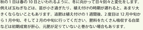 秋の1日は春の10日といわれるように、冬に向かって日々刻々と変化をします。例えば玉ねぎなどは、苗が小さ過ぎたり、植え付けの時期が遅れると、あまり大きくならないこともあります。追肥は植え付けの1週間後、2度目は12月中旬から1月中旬、そして2月の中旬に行ってください。肥料をたくさん吸収する白菜などは初期成育が肝心。元肥が足りていないと巻かない場合もあります。