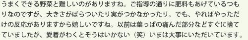 うまくできる野菜と難しいのがありますね。ご指導の通りに肥料もあげているつもりなのですが、大きさがばらついたり実がつかなかったり。でも、やればやっただけの反応がありますから嬉しいですね。以前は葉っぱの痛んだ部分などすぐに捨てていましたが、愛着がわくとそうはいかない（笑）いまは大事にいただいています。