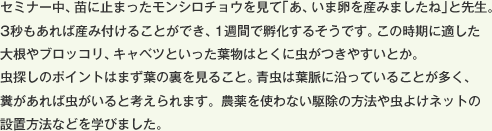 セミナー中、苗に止まったモンシロチョウを見て｢あ、いま卵を産みましたね｣と先生。3秒もあれば産み付けることができ、1週間で孵化するそうです。この時期に適した大根やブロッコリ、キャベツといった葉物はとくに虫がつきやすいとか。虫探しのポイントはまず葉の裏を見ること。青虫は葉脈に沿っていることが多く、糞があれば虫がいると考えられます。農薬を使わない駆除の方法や虫よけネットの設置方法などを学びました。