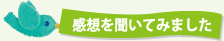 感想を聞いてみました