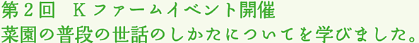 第2回   Kファームイベント開催 菜園の普段の世話のしかたについてを学びました。