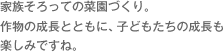 家族そろっての菜園づくり。作物の成長とともに、子どもたちの成長も楽しみですね。