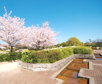 きんめい近隣公園