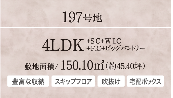 197号地